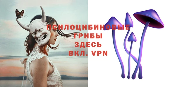 ПСИЛОЦИБИНОВЫЕ ГРИБЫ Баксан