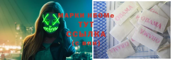 ПСИЛОЦИБИНОВЫЕ ГРИБЫ Баксан