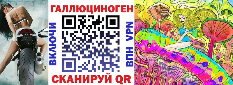 где купить наркотик Славск Псилоцибиновые грибы Cubensis